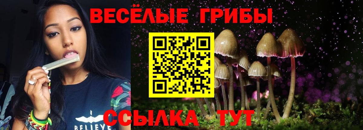 Галлюциногенные грибы мицелий Кизилюрт