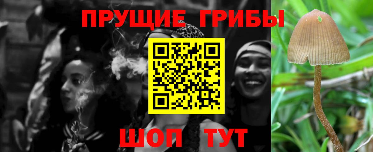 Псилоцибиновые грибы мухоморы  купить наркоту  Вход с VPN  Кизилюрт  Галлюциногенные грибы GOLDEN TEACHER 